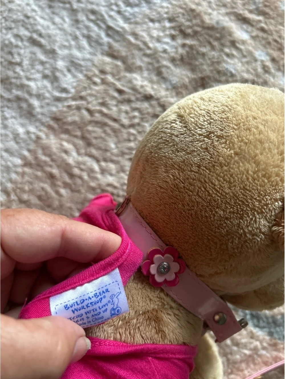 Build a bear puppy with leash